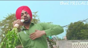 Star Putt Punjabi Lyrics by Jordan Sandhu