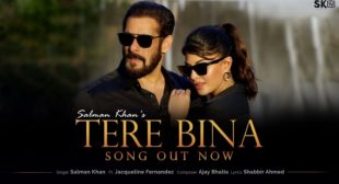 Tere Bina – Salman Khan Mp3 Song