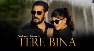 Tere Bina – Salman Khan