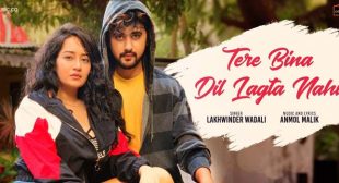 Tere Bina Dil Lagta Nahi Lyrics – Lakhwinder Wadali