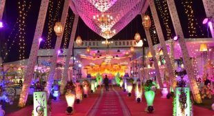 Event Planner in Lucknow