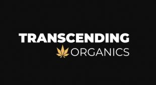 CBD Oil Australia Online by Transcending Organics