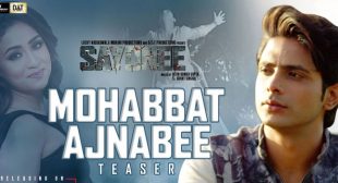 Mohabbat Ajnabee Lyrics – Sayonee