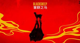 Black Sheep Lyrics