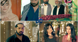 Raqs-e-Bismil Episode 16 Story Review