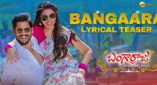 Bangaara Lyrics – Bangarraju