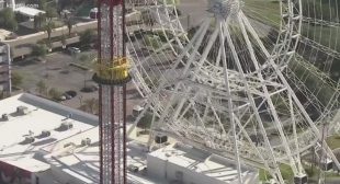 Fourteen-year-old Florida boy dead after falling from roller coaster