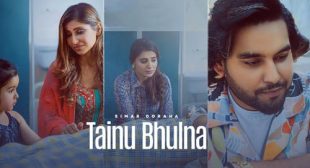 Lyrics of Tainu Bhulna Song