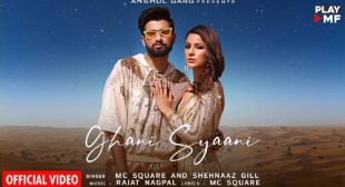 Lyrics of Ghani Sayani Song