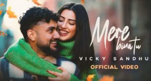 Vicky Sandhu – Mere Bina Tu Lyrics