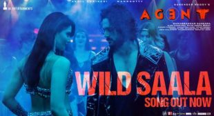 Wild Saala Lyrics – Agent