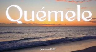 Quemele (English Translation) Lyrics – Crudo Means Raw